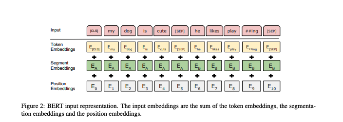 BERT Text Representation